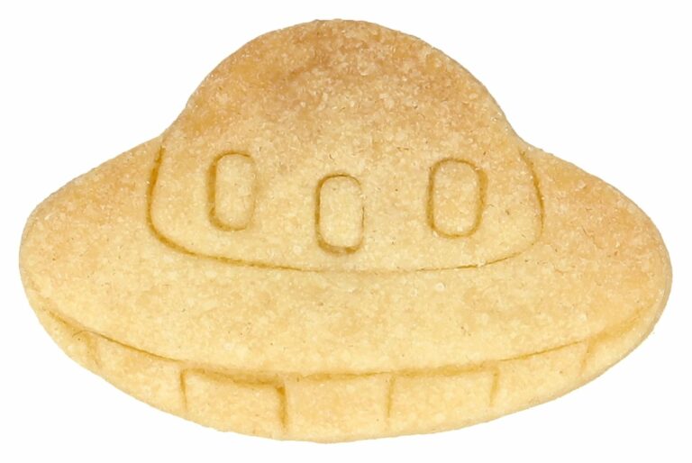 Birkmann Weihnachts-Dinosaurier Ausstechform – 8 Cm, Edelstahl, Mit Innenprägung, Für Plätzchen & Kekse